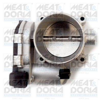 Throttle Body